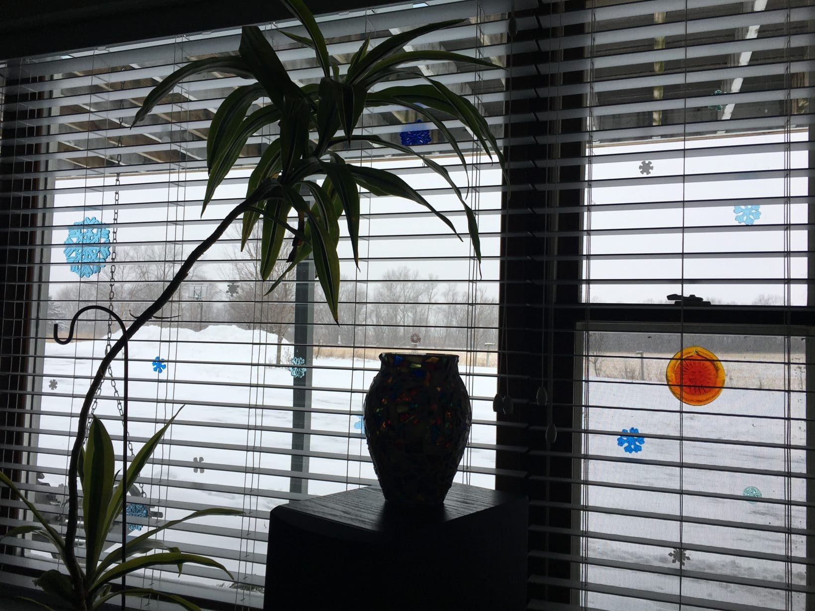 Looking Out My Back Window 32 David Geschke