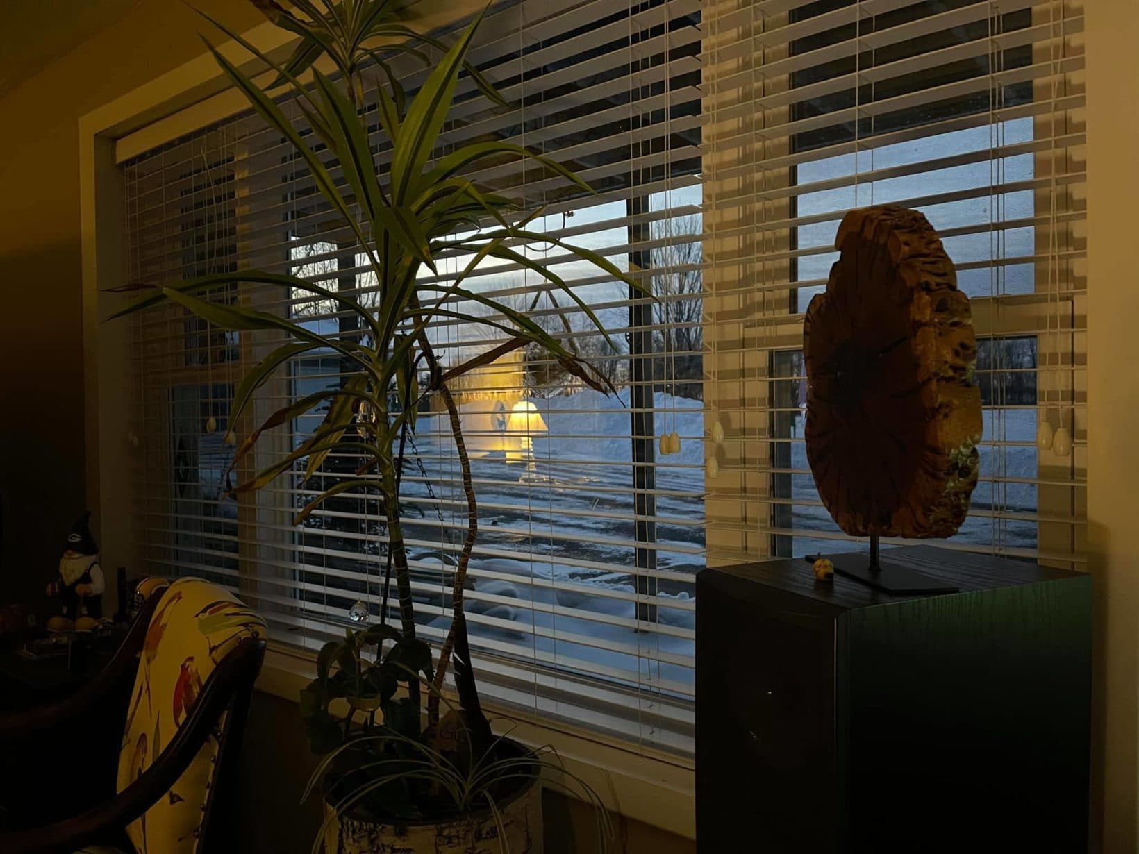 Looking Out My Back Window 188 David Geschke