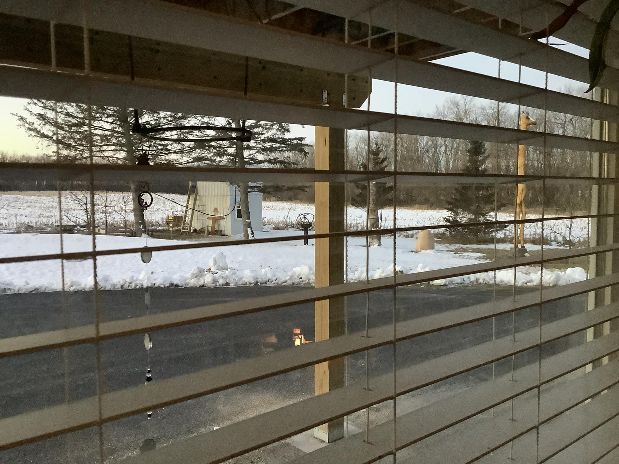 Looking Out My Back Window 291 David Geschke